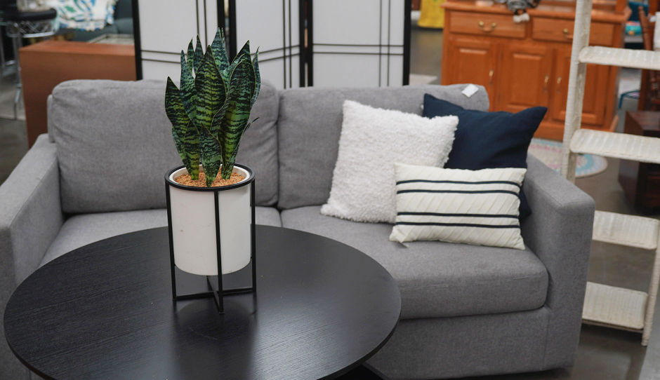 C&D webphotos_edited.jpg