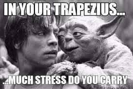 Yoda is Wise