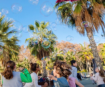 maarten van vliet lighthunters
