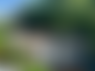 Full Measured Building Survey