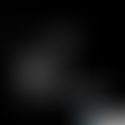 Measured Floor Plans