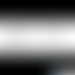 Topographical survey