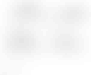 Topographical Survey