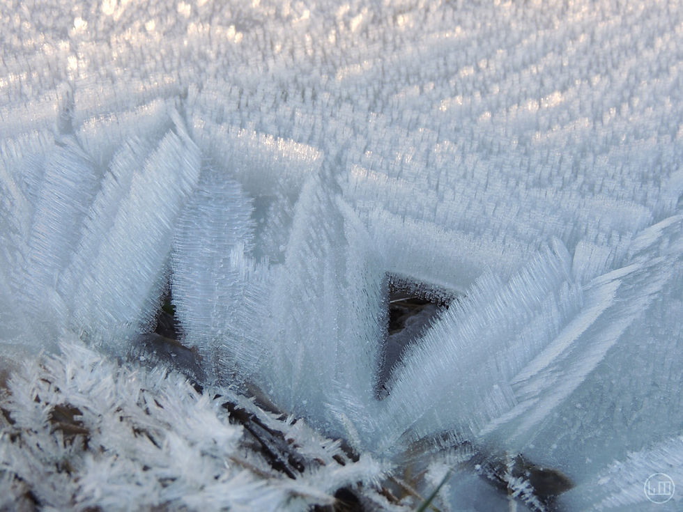 A closeup photo of frozen water, the white ice has formed geometric patterns with triangular holes in it