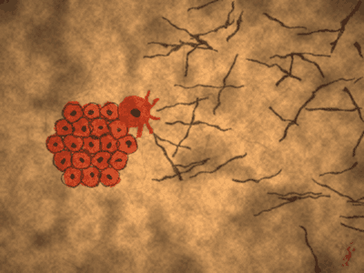 cave-escape-equations.gif