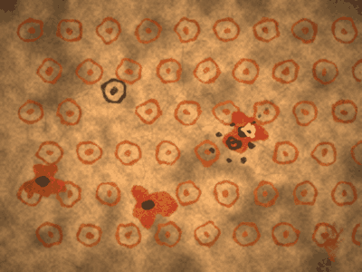 cave-phagocytosis.gif
