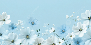 flores.jpg