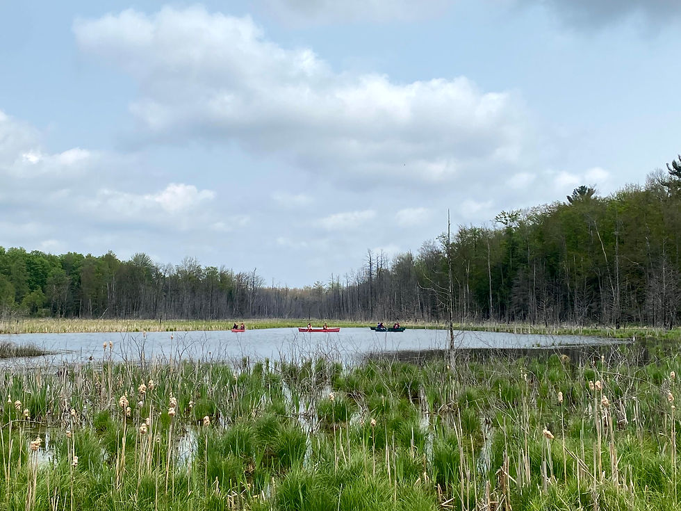 The 483+ acre Hill Farm property