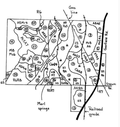 Forester's notes and observations on the Garfield property