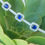 Thumbnail: Front view of Blue Sapphire and Diamond Halo Bracelet on greenery for contrast