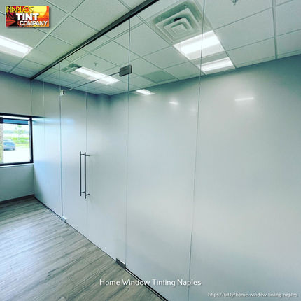 Naples Tint Company (M3) (CID) - 3.jpg