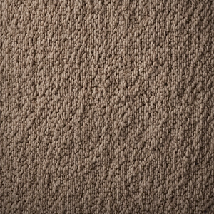 Eco-Friendly Wool Carpet