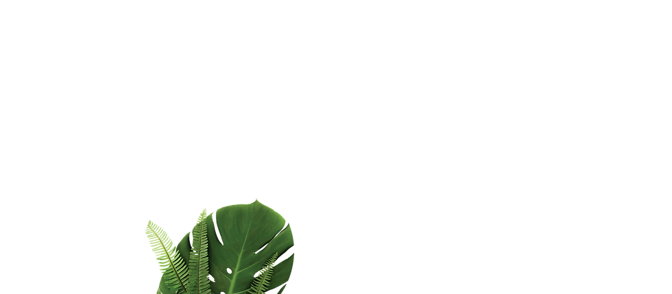 majn_leaf3(2).png