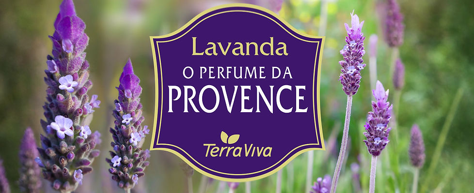 Outdoor-Lavanda-FINAL-RONALDO_edited.jpg