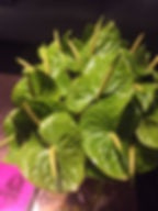 ree
