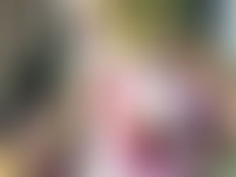 Terra Viva no 10º Encontro ABAF