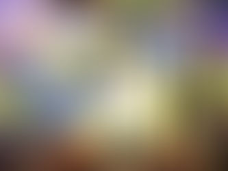 Terra Viva no Enflor 2017