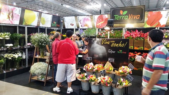 Terra Viva no 17º Veiling Market