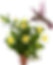 Madevilla Picoli_1.png
