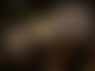 Nazis Are Congregating In Tally!