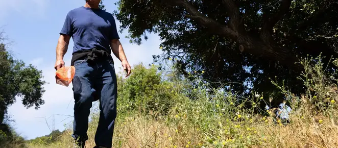 On The Hunt