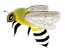 BeekeeperLogo_edited.png