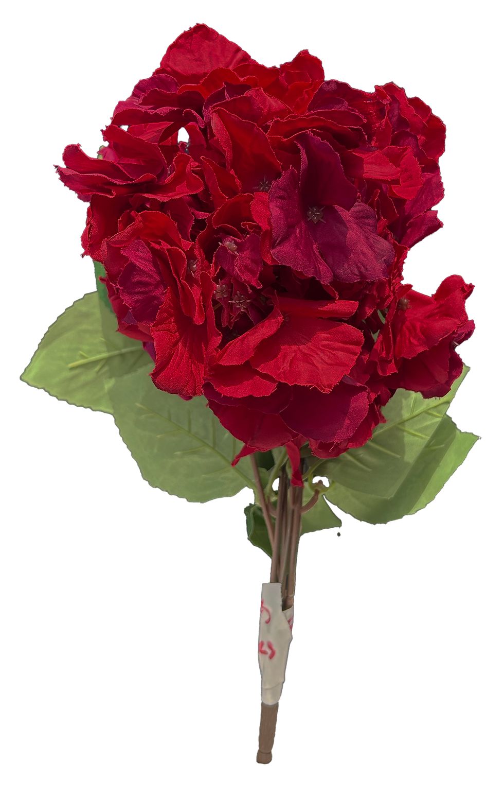 Thumbnail: Flower - Red Hydrangea Dual Tone