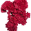 Thumbnail: Flower - Red Hydrangea