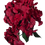 Thumbnail: Flower - Red Hydrangea Garnet