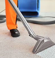 carpet-cleaning-1_edited_edited.jpg