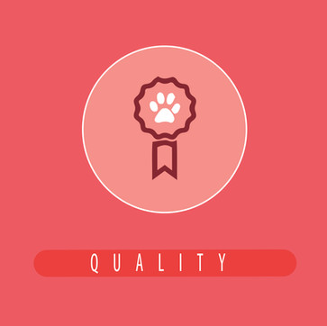 Pet Supplies Group Quality dog treats.jpg