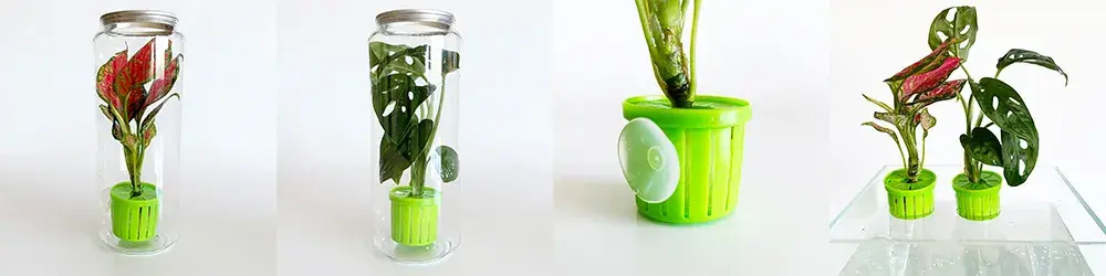 Aquarium Plant Toppers