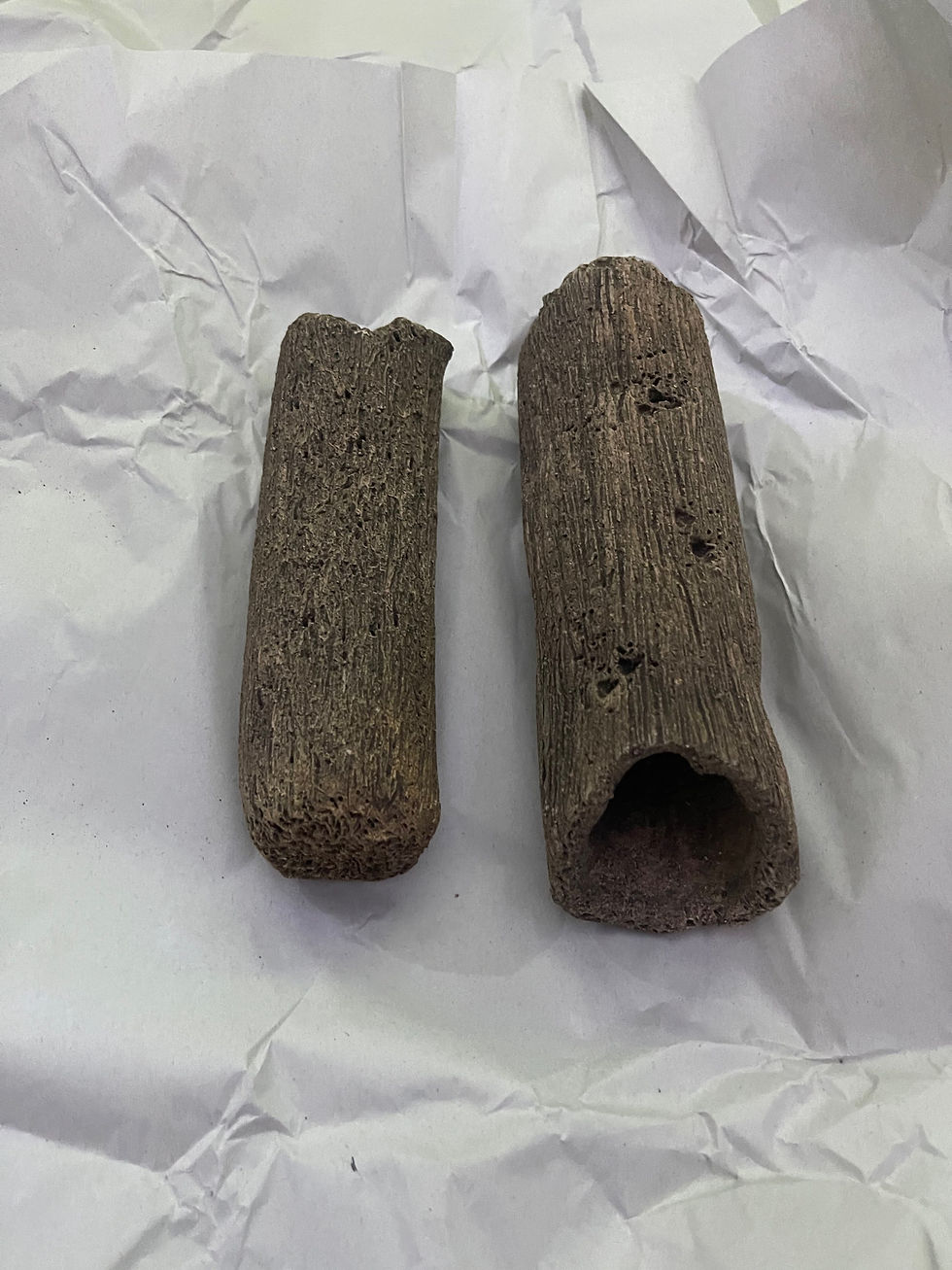 Thumbnail: Pleco Tunnel Round (L)