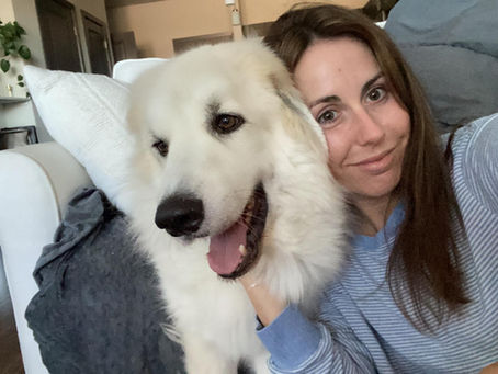 The Human Version of Kennel Stress
