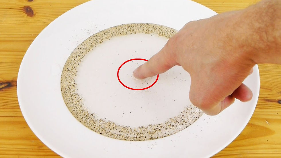 How Dish Soap Works - Water Surface Tension Experiment : 7 Steps ...