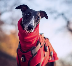 Screenshot 2025-06-22 at 18.30.11.png