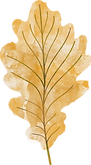 leaf-2 (2).png