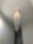 IMG_8331.jpeg