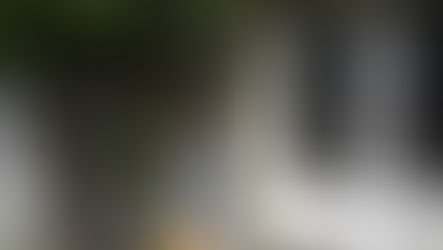 Spring looks in Brussels