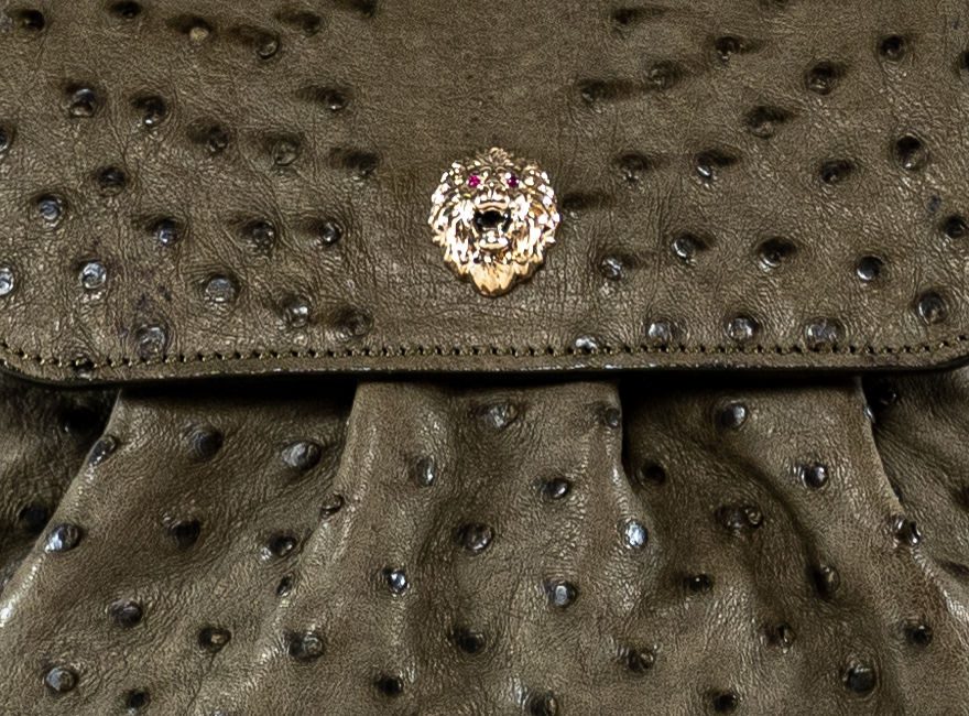 Thumbnail: Candy Ostrich