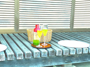 お茶ピクニック体験