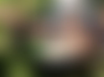 地産地消、農家ならではのオーガニックバーベキュー