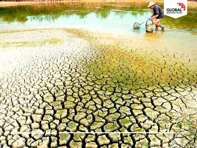 Hạn hán, xâm nhập mặn và nguy cơ thiếu điện |. El Nino là gì? Tại sao gọi là El Nino & Tác động đến VN 2026