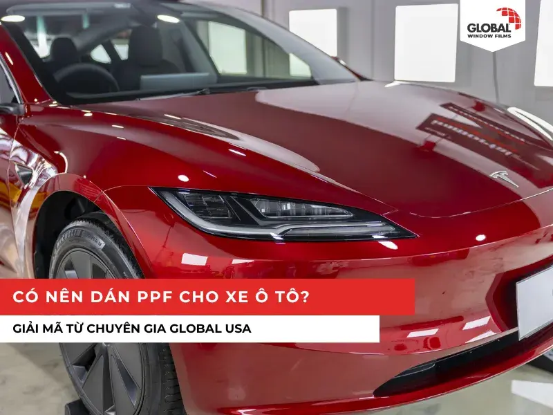 Có nên dán PPF cho xe ô tô? Giải mã từ chuyên gia Global USA