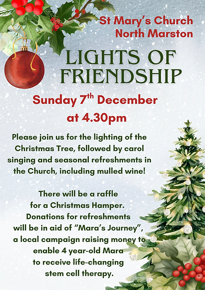 LIGHTS OF FRIENDSHIP.png