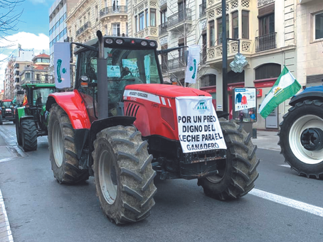 El sector vacuno andaluz denuncia la situación crítica de las explotaciones lecheras de Andalucía
