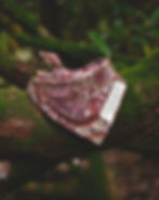 Thumbnail: Equinox 2.0 Dog Bandana