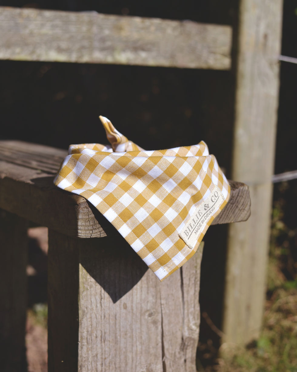 Thumbnail: Harvest Dog Bandana