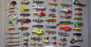 fishing-2669219_1280.2e16d0ba.fill-1080x565.jpg