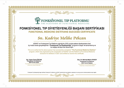 Fonksiyonel Tıp